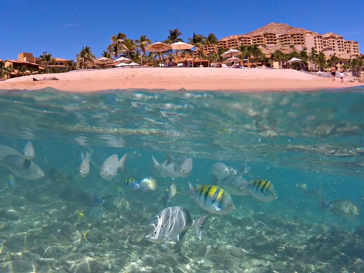 ***** Station touristique Grand Fiesta Americana Los Cabos All Inclusive Golf & Spa Cabo San Lucas Mexique